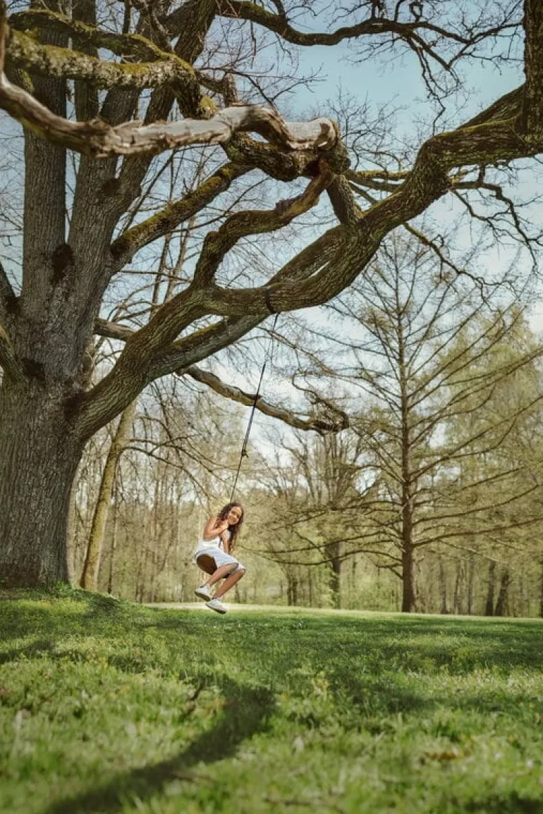 Lillagunga Disco Outdoor swing, walnut - black