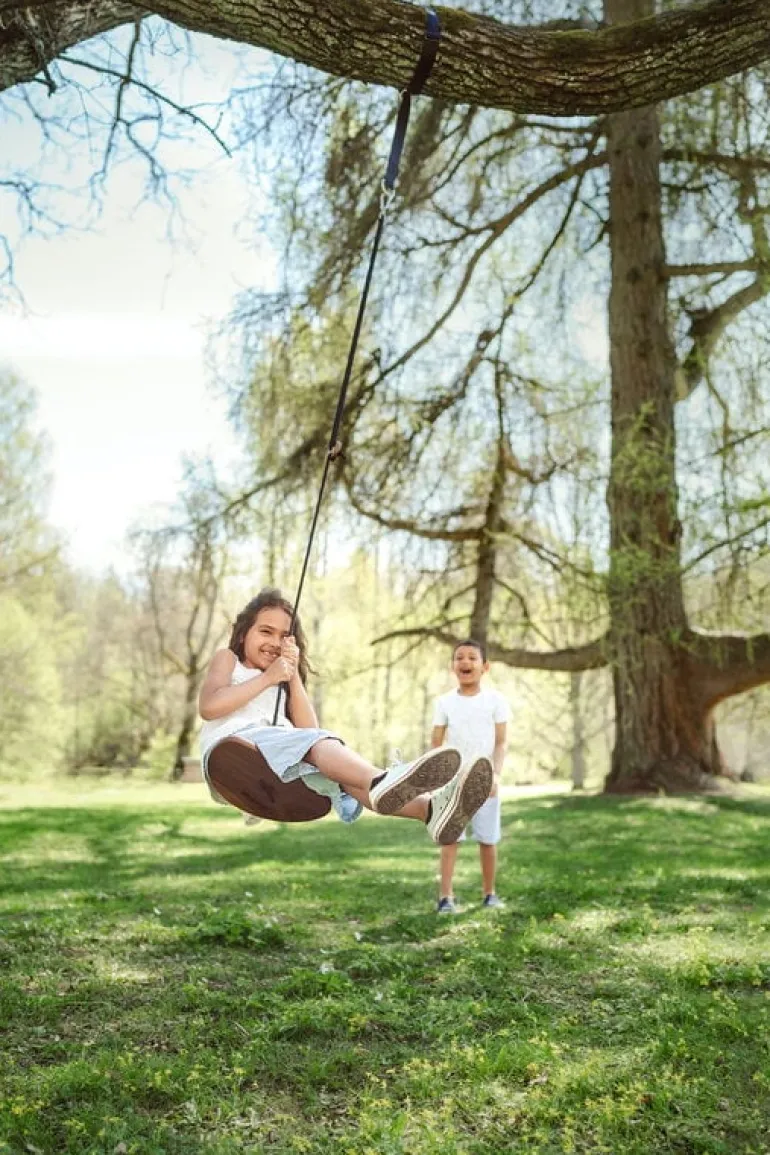 Lillagunga Disco Outdoor swing, walnut - black