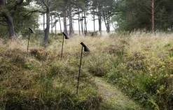 Louis Poulsen AJ Garden bollard lamp, long, 3000K, spike without adaptor