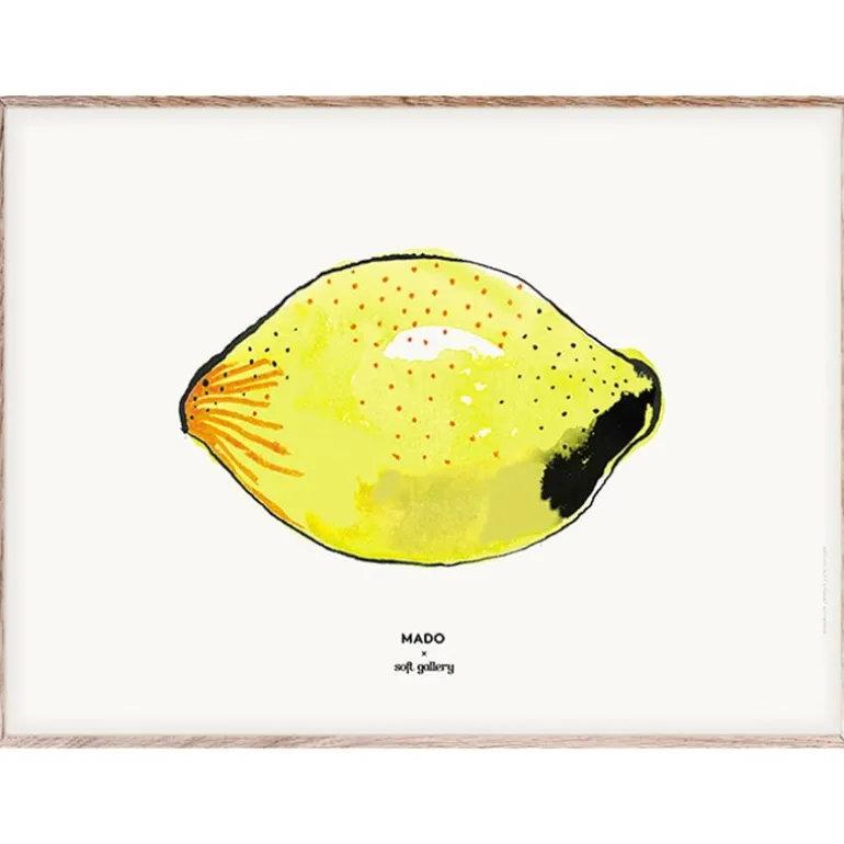 MADO Lemon poster 40 x 30 cm