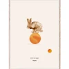 MADO Rocky the Rabbit poster 50 x 70 cm