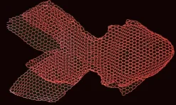 Magis Fish sculpture, small, fluorescent red