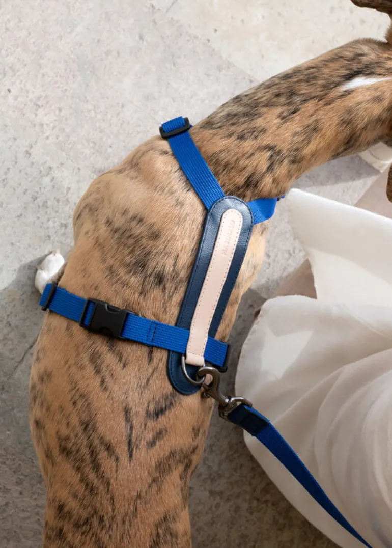 Masimalo Arch harness, navy - grandala blue