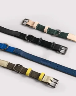 Masimalo Colour Block collar, navy - grandala blue
