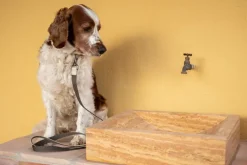 Masimalo Colour Block leash, light sage - khaki