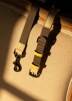 Masimalo Colour Block leash, light sage - khaki