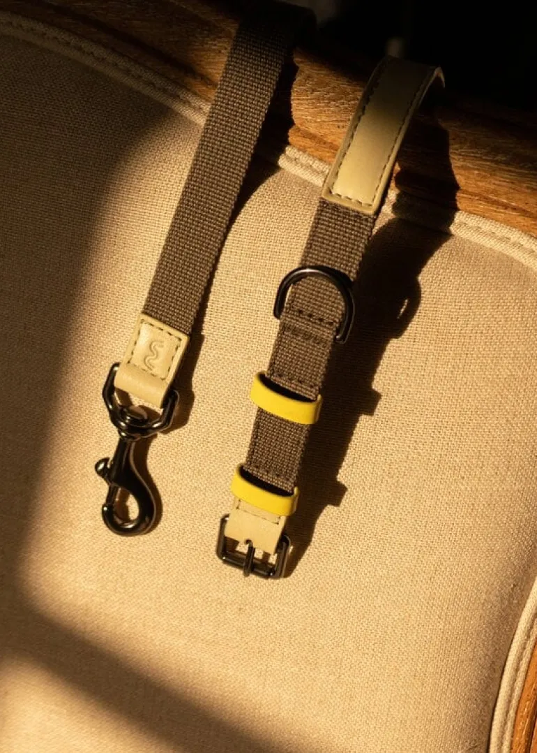 Masimalo Colour Block leash, light sage - khaki