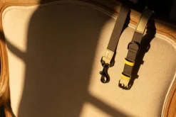 Masimalo Colour Block leash, light sage - khaki