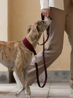Masimalo 3D Knit collar, aubergine - lava