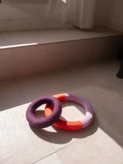 Masimalo Duo Circle dog toy, orange - purple