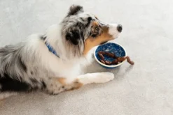 Masimalo Night Sky enamel bowl, 700 ml