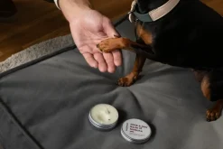 Masimalo Nose & Paw balm, 60 g, manuka