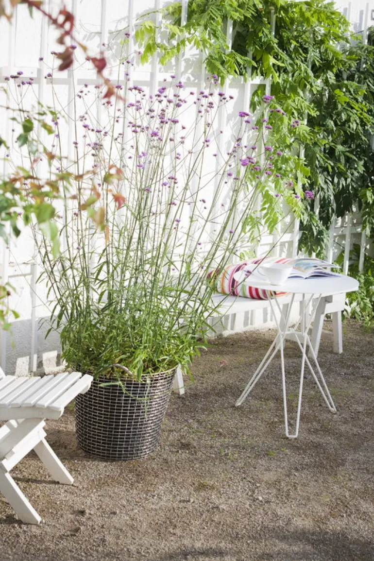 Massproductions Tio table, 60 cm, low, white