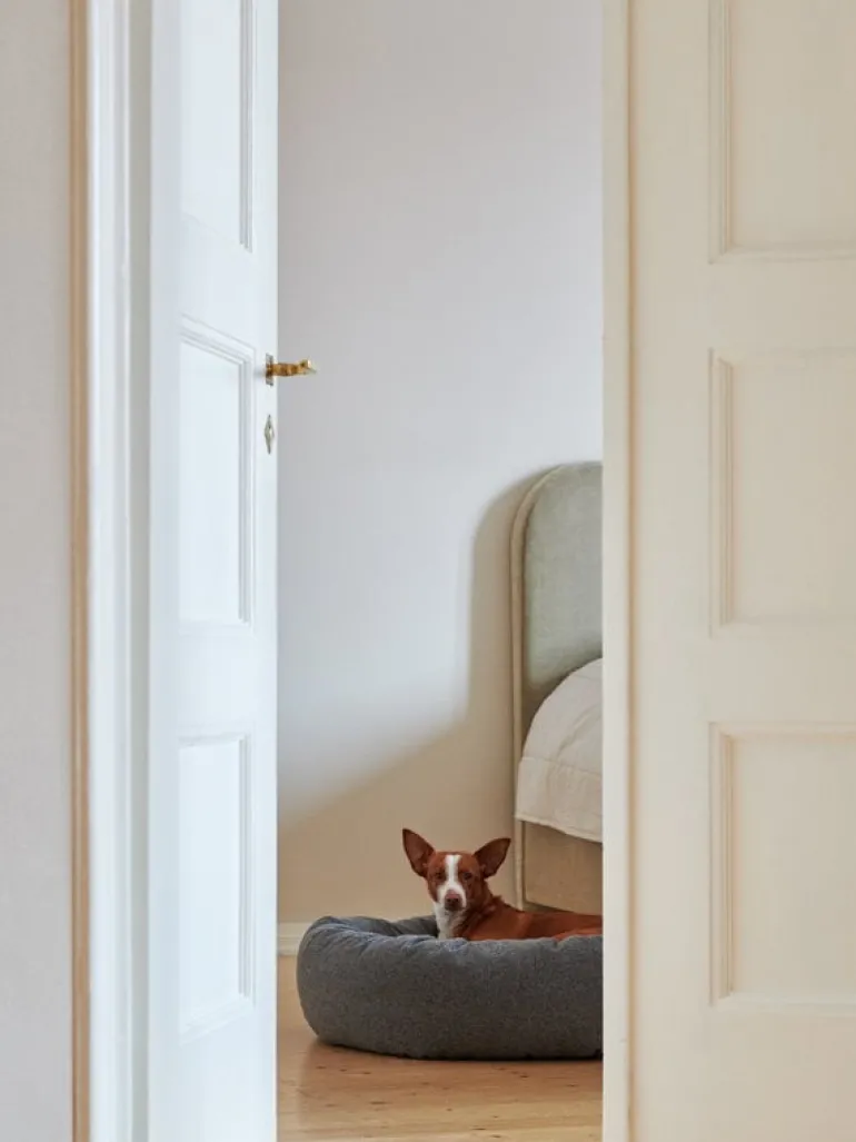 Matri Dog bed, M, Wooly, graphite