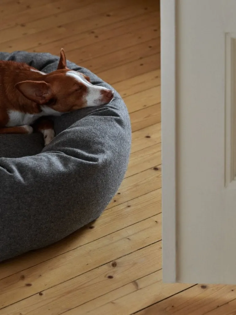 Matri Dog bed, M, Wooly, graphite