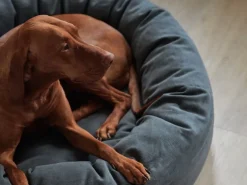 Matri Dog bed, M, Wooly, graphite