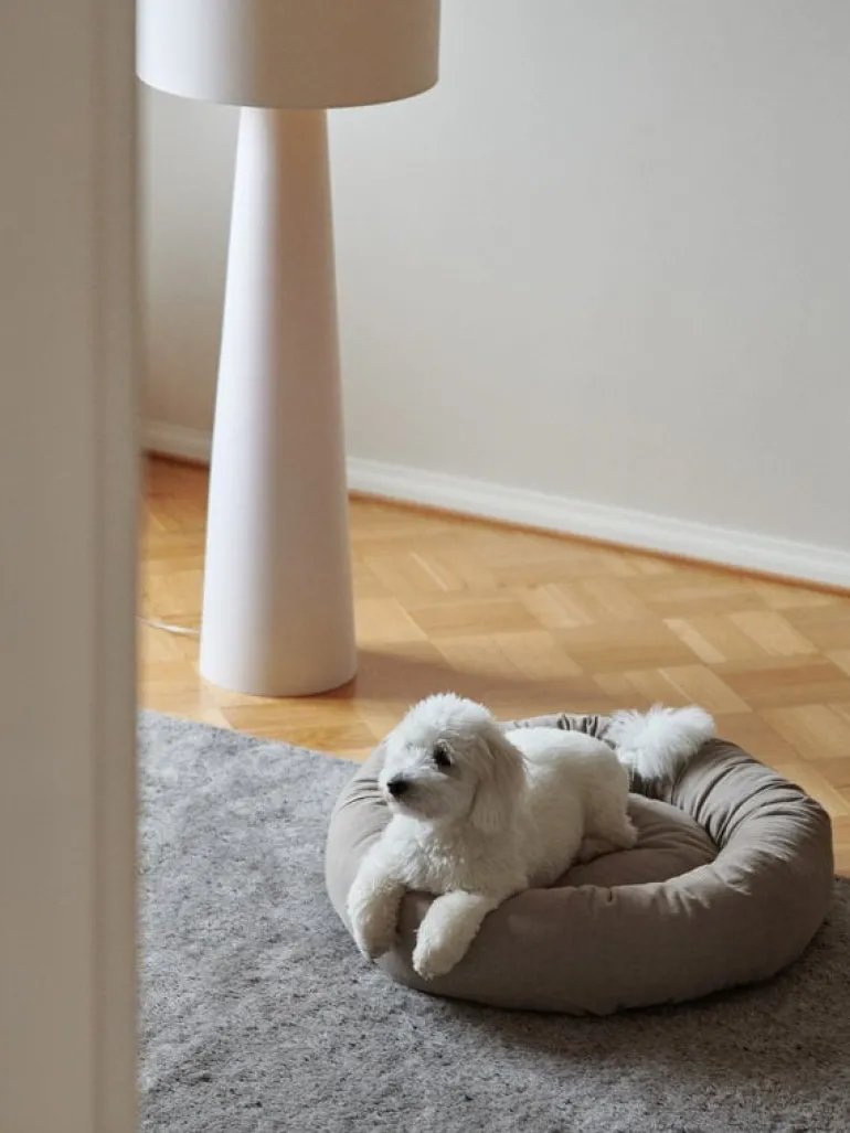 Matri Dog bed, S, Wooly, ivory melange