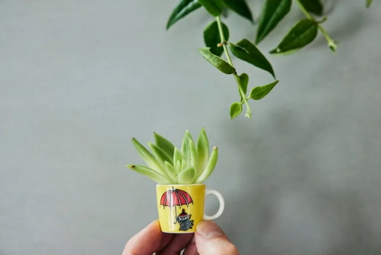 Moomin Arabia Moomin mini mugs, 6 pcs, 3. classics