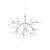 Moooi Heracleum III Suspended pendant, small, nickel