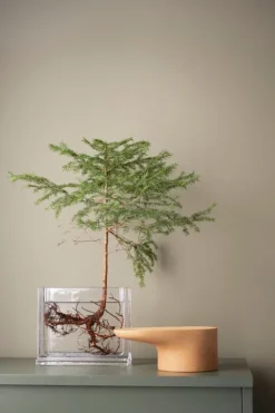 Nedre Foss Platå tray, red alder