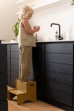 Nofred Step Up step ladder, curry