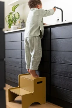 Nofred Step Up step ladder, curry