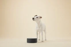 PAIKKA Cool bowl M, black