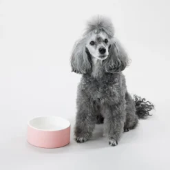 PAIKKA Cool bowl M, pink