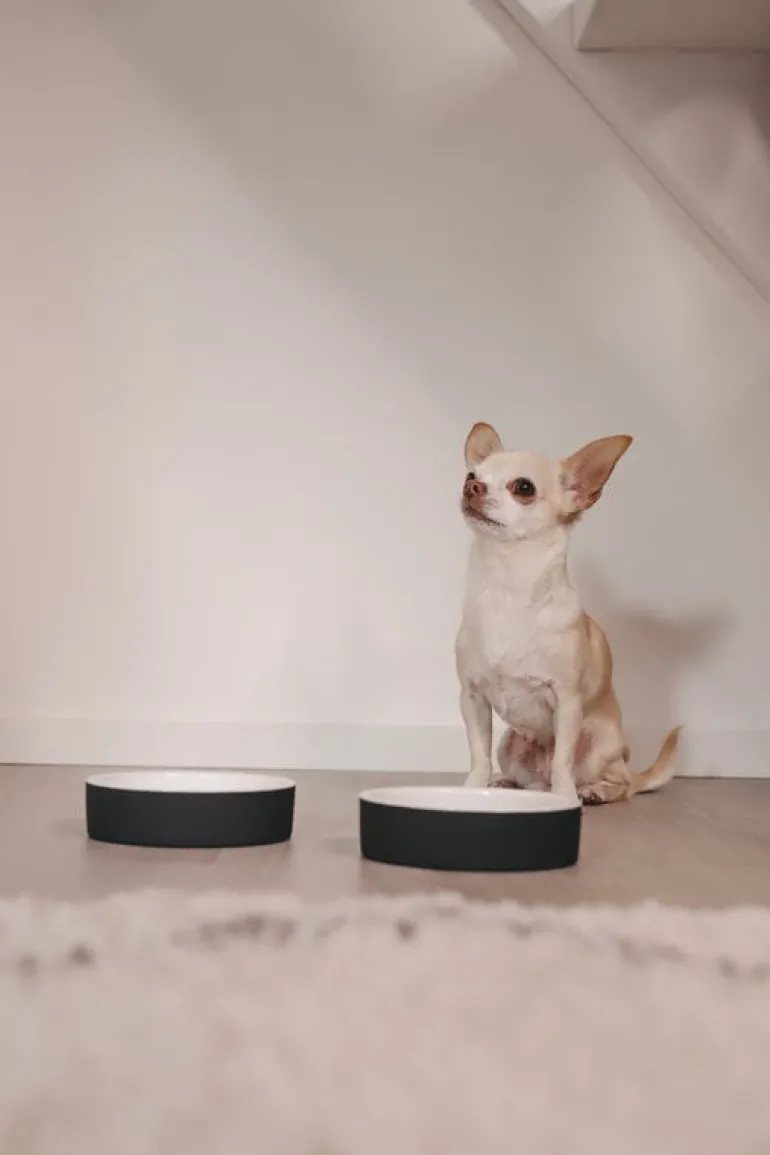 PAIKKA Cool bowl XS, black