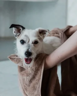 PAIKKA Drying towel, 40 x 100 cm, taupe