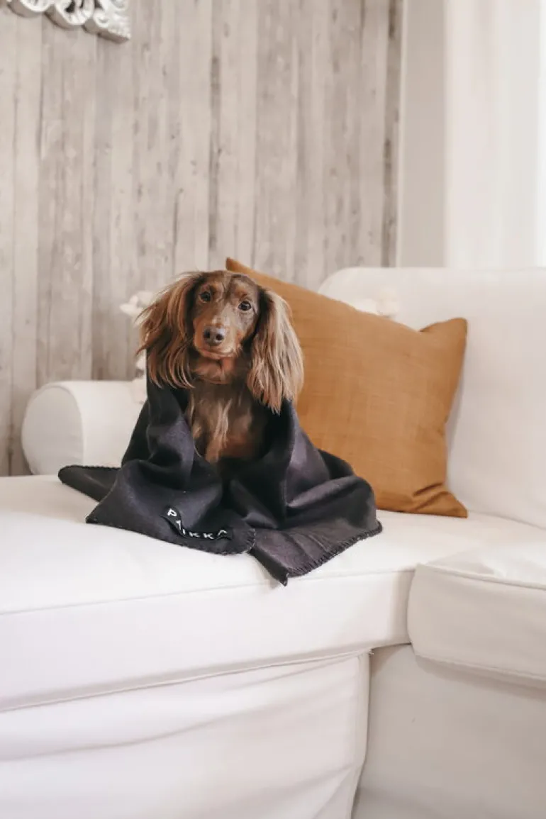 PAIKKA Recovery blanket, grey