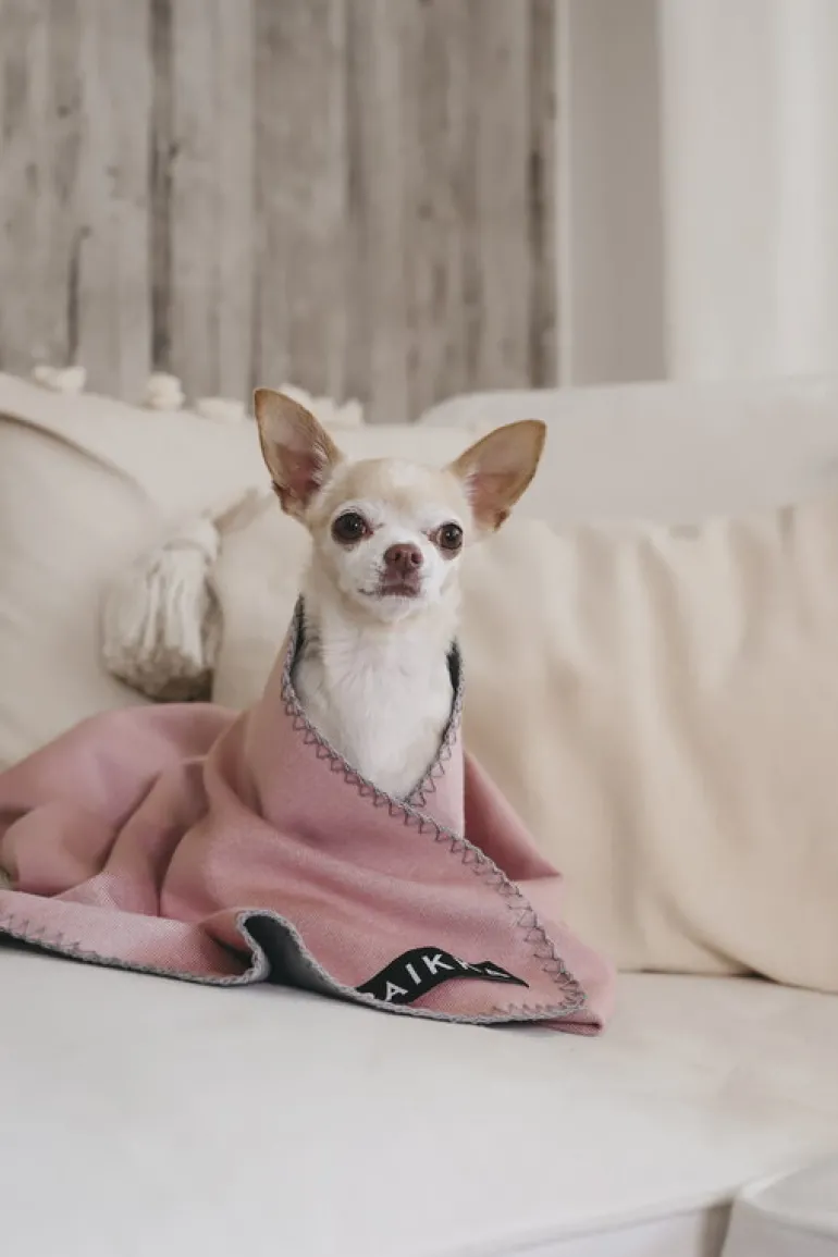 PAIKKA Recovery blanket, pink