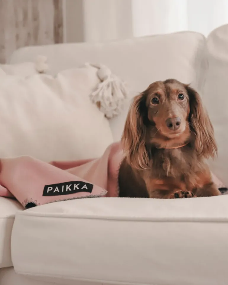 PAIKKA Recovery blanket, pink