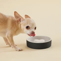 PAIKKA Slow Feed bowl XS, black