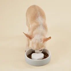 PAIKKA Slow Feed bowl XS, grey