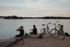 Pelago Bicycles Bristol bicycle, M, black