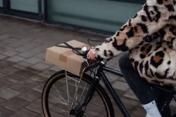 Pelago Bicycles Commuter Front Rack, L, polished aluminium