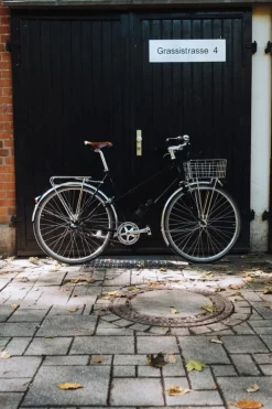 Pelago Bicycles Commuter Rear Rack, polished stainless steel