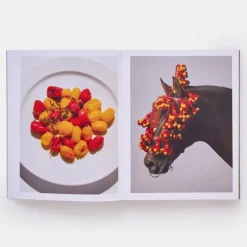 Phaidon The River Cafe Look Book, Recipes for Kids of all Ages