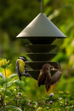 Pidät Bird Silo feeder, green