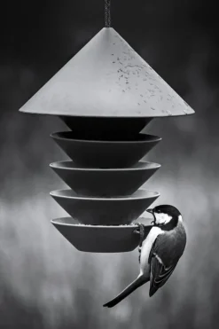 Pidät Bird Silo feeder, green