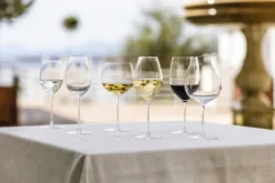 Riedel Veritas Riesling / Zinfandel white wine glass, 2 pcs