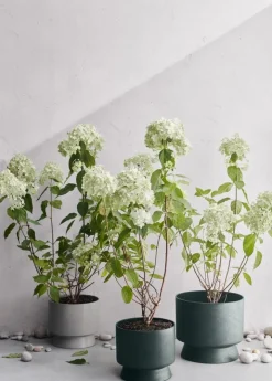 Rosendahl Flowerpot, 24 cm, green