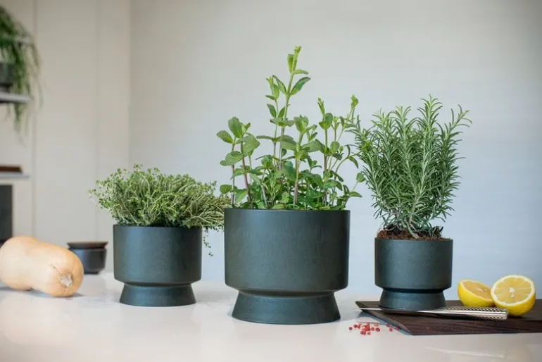 Rosendahl Flowerpot, 15 cm, green