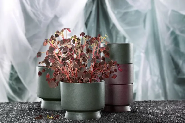 Rosendahl Flowerpot, 15 cm, green