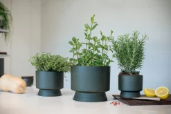 Rosendahl Flowerpot, 19 cm, green