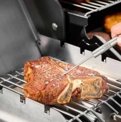 Rösle Gourmet thermometer, 22 cm, steel