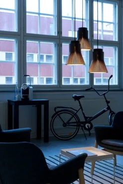 Secto Design Petite 4600 pendant, black