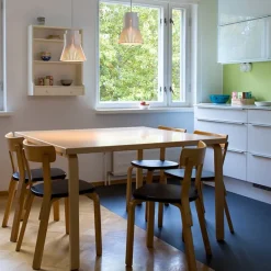 Secto Design Petite 4600 pendant, walnut