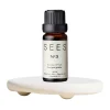 SEES Company Aroma stone - essential oil set, 10 ml, eucalyptus